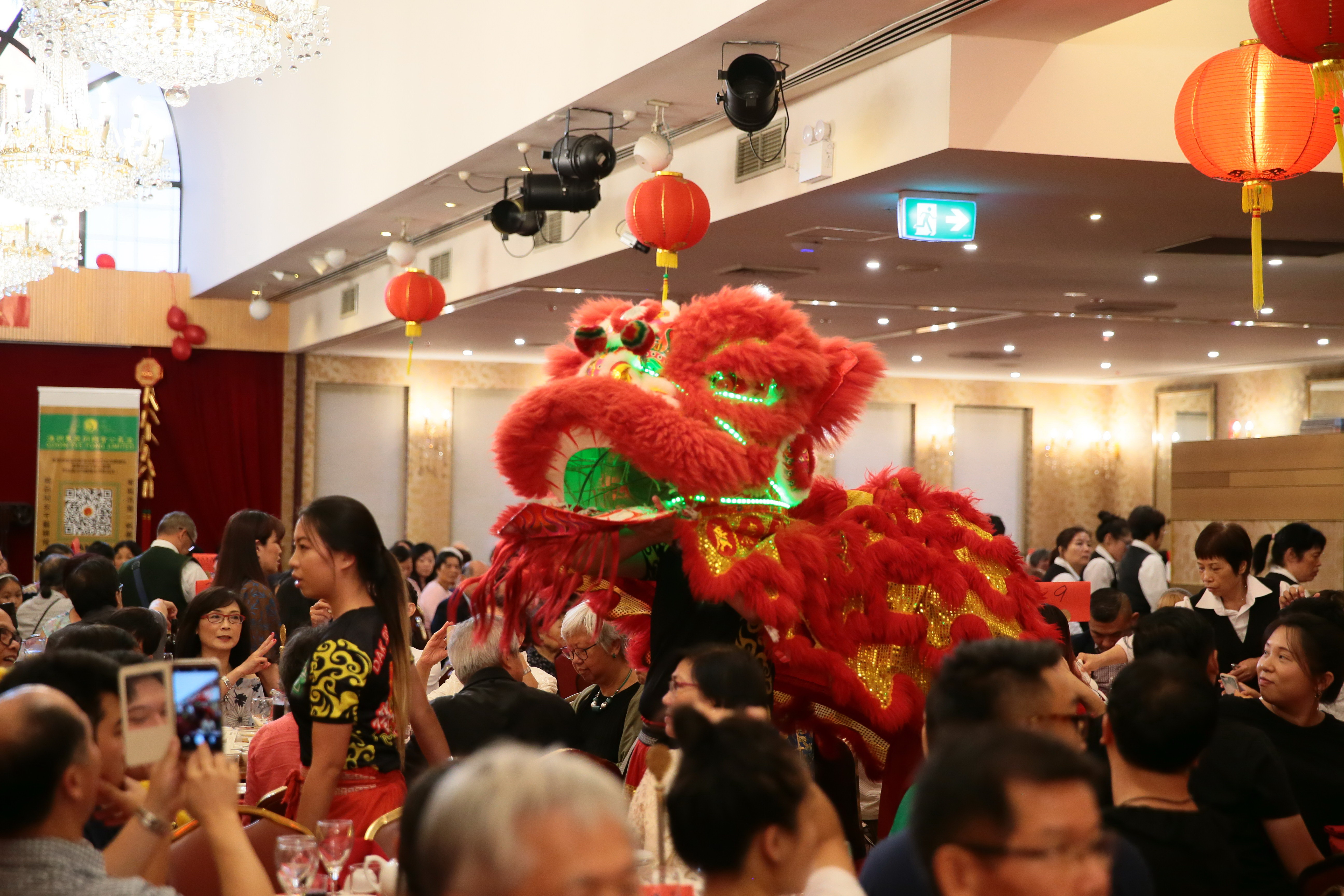 Lion Dance Preformance